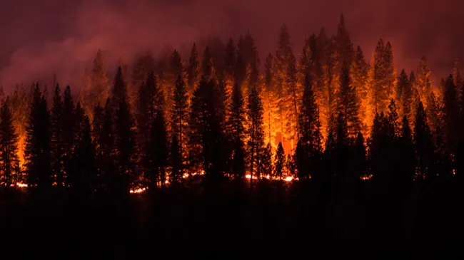 wildfire crisis